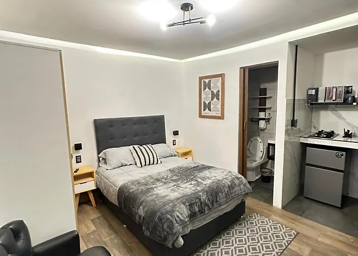 Loft In The Heart Of La Condesa