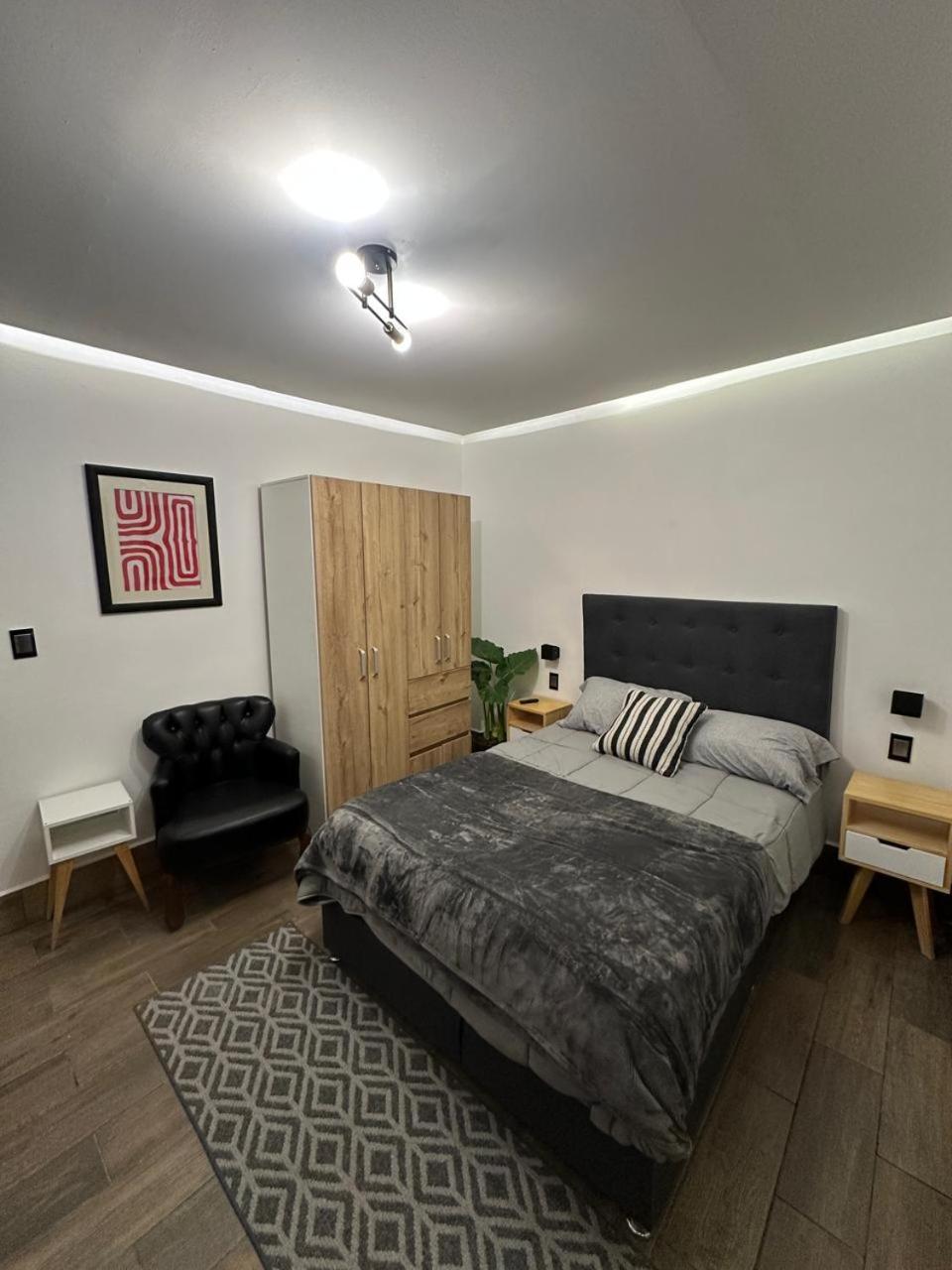 Loft In The Heart Of La Condesa Apartment