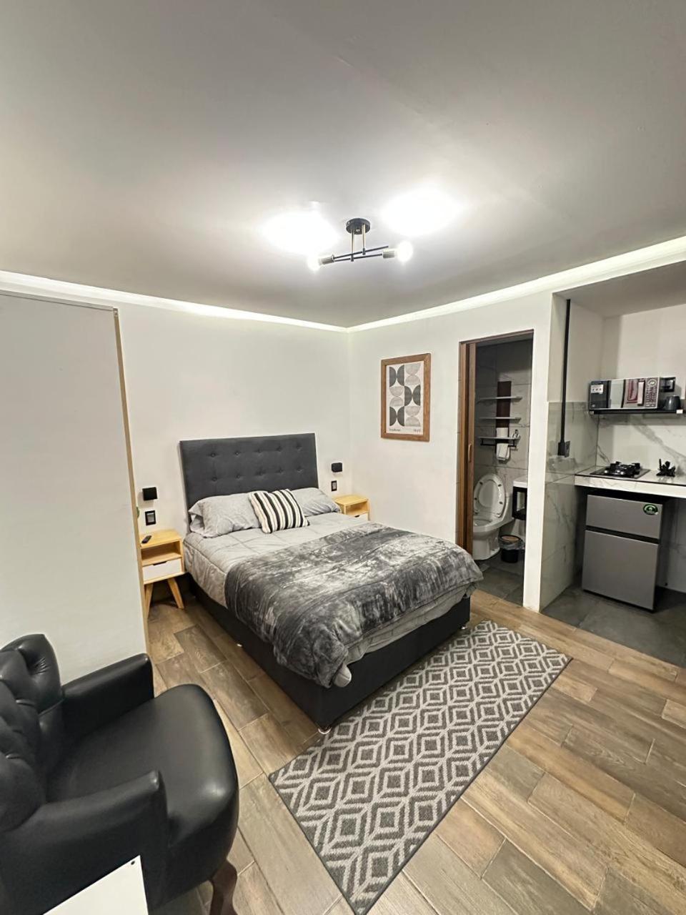 Apartment Loft In The Heart Of La Condesa